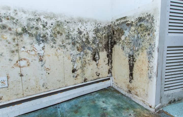 mold remediation sioux city ia
